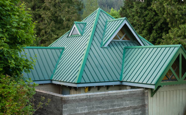 Best Storm Damage Roof Repair  in Clayton, NM