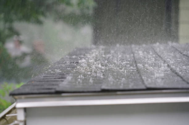 Best Emergency Roof Repair Services  in Clayton, NM