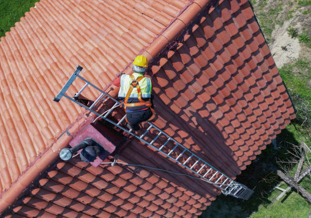 Best Asphalt Shingle Roofing  in Clayton, NM