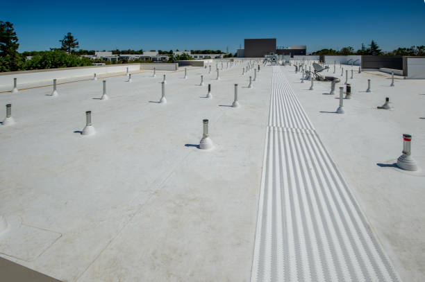 Best Cold Roofs  in Clayton, NM